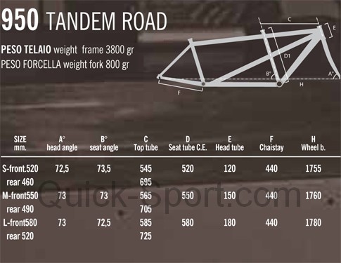 CARRARO TANDEM ROAD 2011 Quick Sport