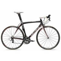 CARRARO - ROMBO HL