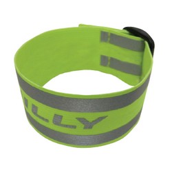 Arm & Ankle Band