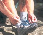 Northwave Tribal 2008